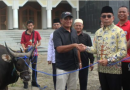Pemkab Mura Salurkan Puluhan Sapi Kurban Menjelang Idul Adha 1445  H