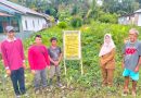 Lurah Dahirang Tinjau Langsung Pengukuran Dan Pemasangan Papan Informasi