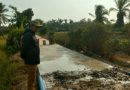 Pastikan Kualitas Pembangunan Desa, Camat Tamban Catur Turun Langsung Tinjau Jalan Tani